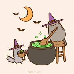 Koty Pusheen w Halloween